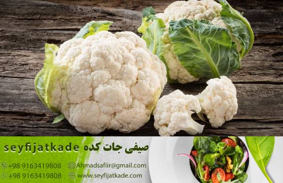 منبعی غنی از فیبر برای کنترل سیری و کاهش وزن