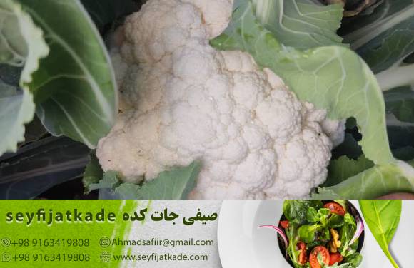 تحولات بازار جهانی و قیمت‌گذاری گل کلم سفید