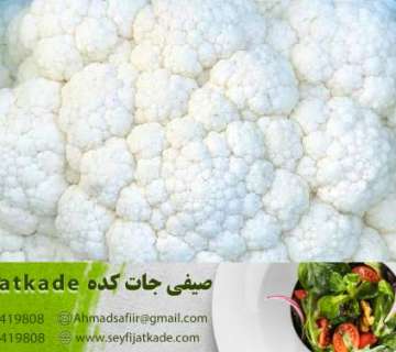 قیمت خرید گل کلم سفید به صورت عمده