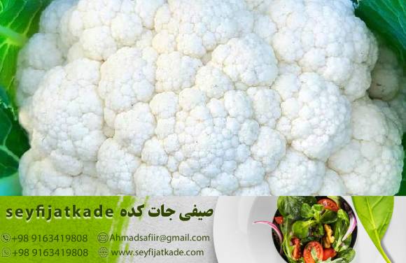 قیمت خرید گل کلم سفید به صورت عمده