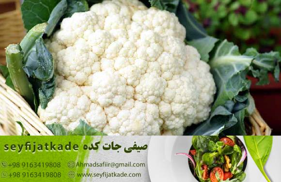 راهنمای خرید: تأثیر فصل‌ها بر قیمت و کیفیت گل کلم یک کیلویی