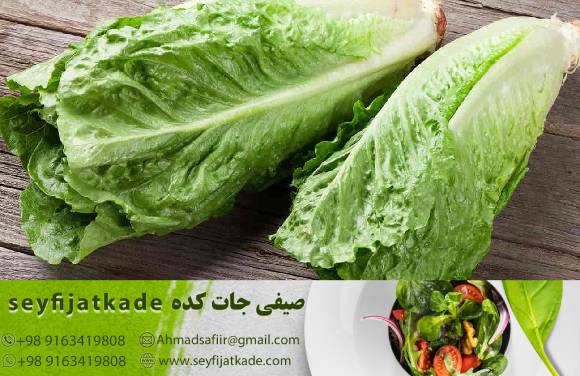 تأثیر عوامل فصلی بر قیمت کاهو رومانو: چه زمانی بهتر است خرید کنیم؟