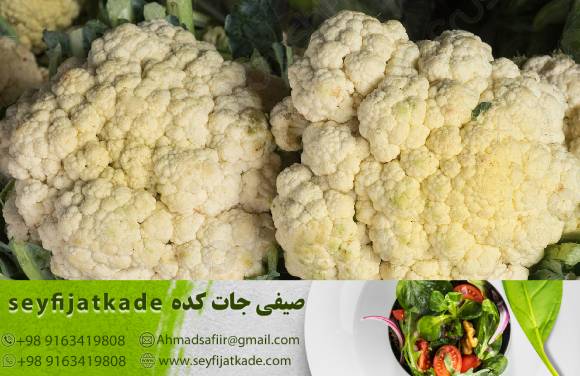 قیمت و خرید گل کلم