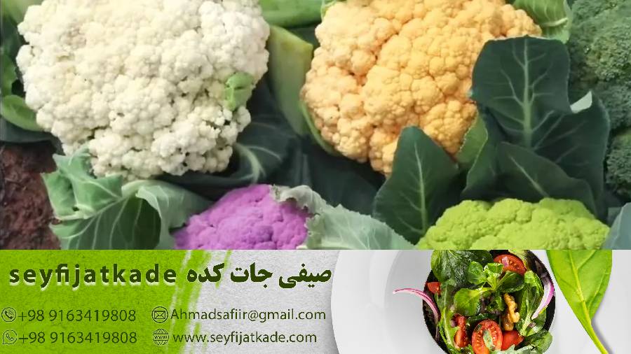 استراتژی‌های موفق برای خرید گل کلم صادراتی: راهکارهای بهینه در انتخاب تأمین‌کنندگان و بازارهای هدف